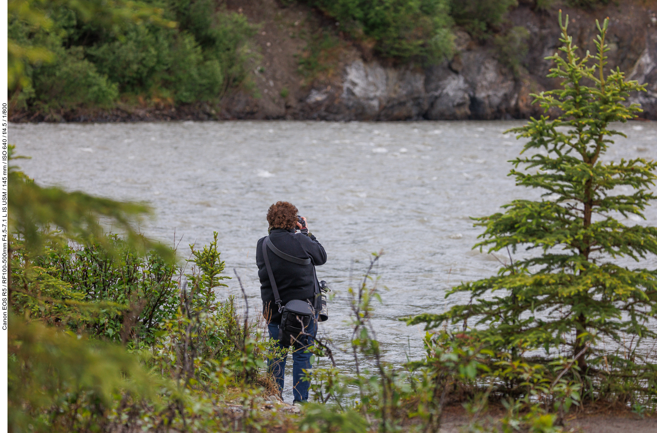 Am Nenana River