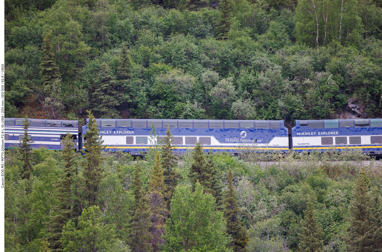... und betätigt lautstark sein Signalhorn