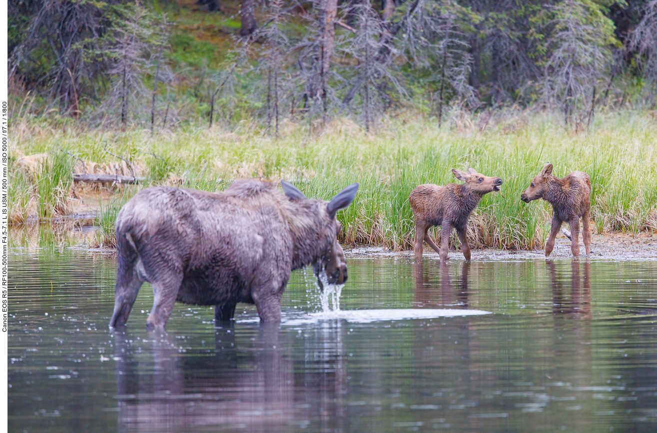 Alaska 2024: Nachbereitungen