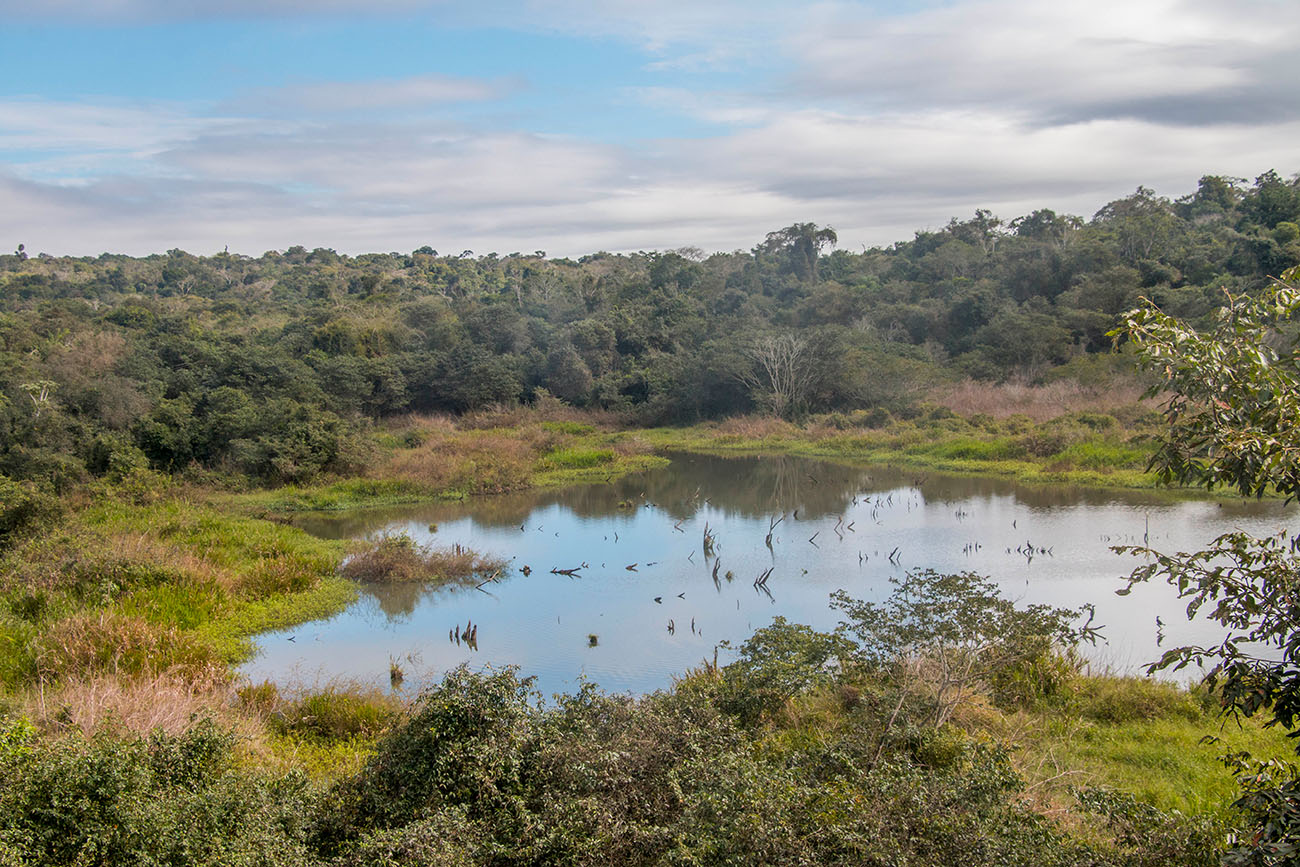 Am Caiman-Lake ... 