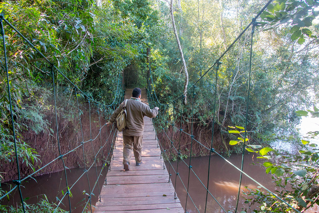 Über eine Hängebrücke gehe ich mit meinem Guide zum Ufer des Rio Iguaçu 